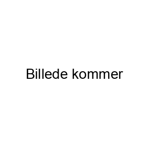 Joewell Udtynder-sakse