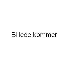 Joewell Udtynder-sakse